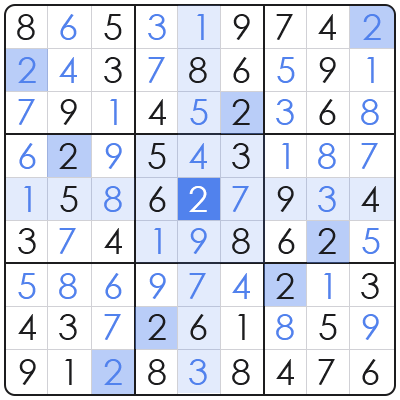 large sudoku book